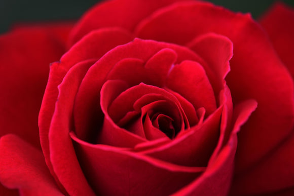 Special Topic - HEART-CHAKRA MEDITATION FOR WOMEN Coaching Session