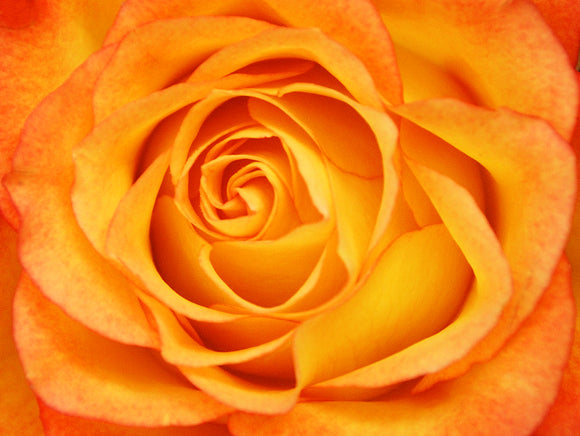 Mindful Menopause/Awakened Wise Woman 10-Session Coaching Program